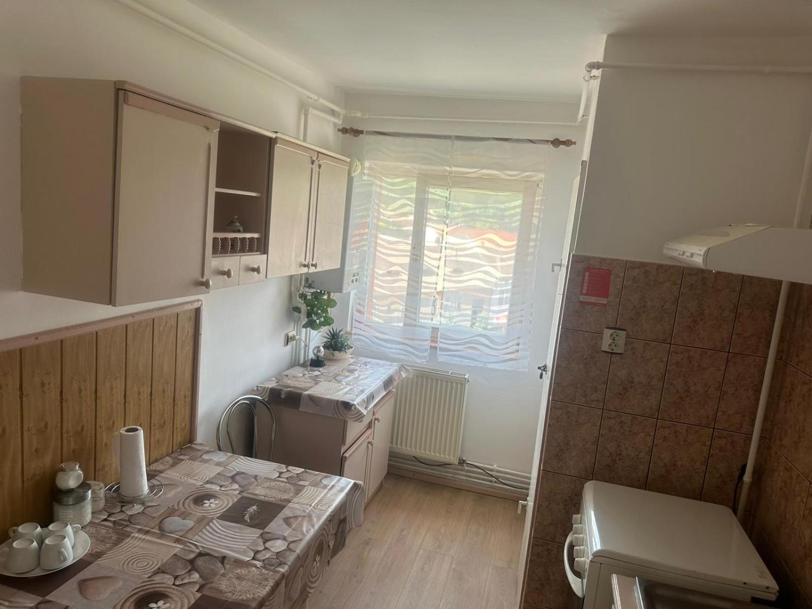 Appartement Apartament La Ilie à Ocna Sibiului Extérieur photo