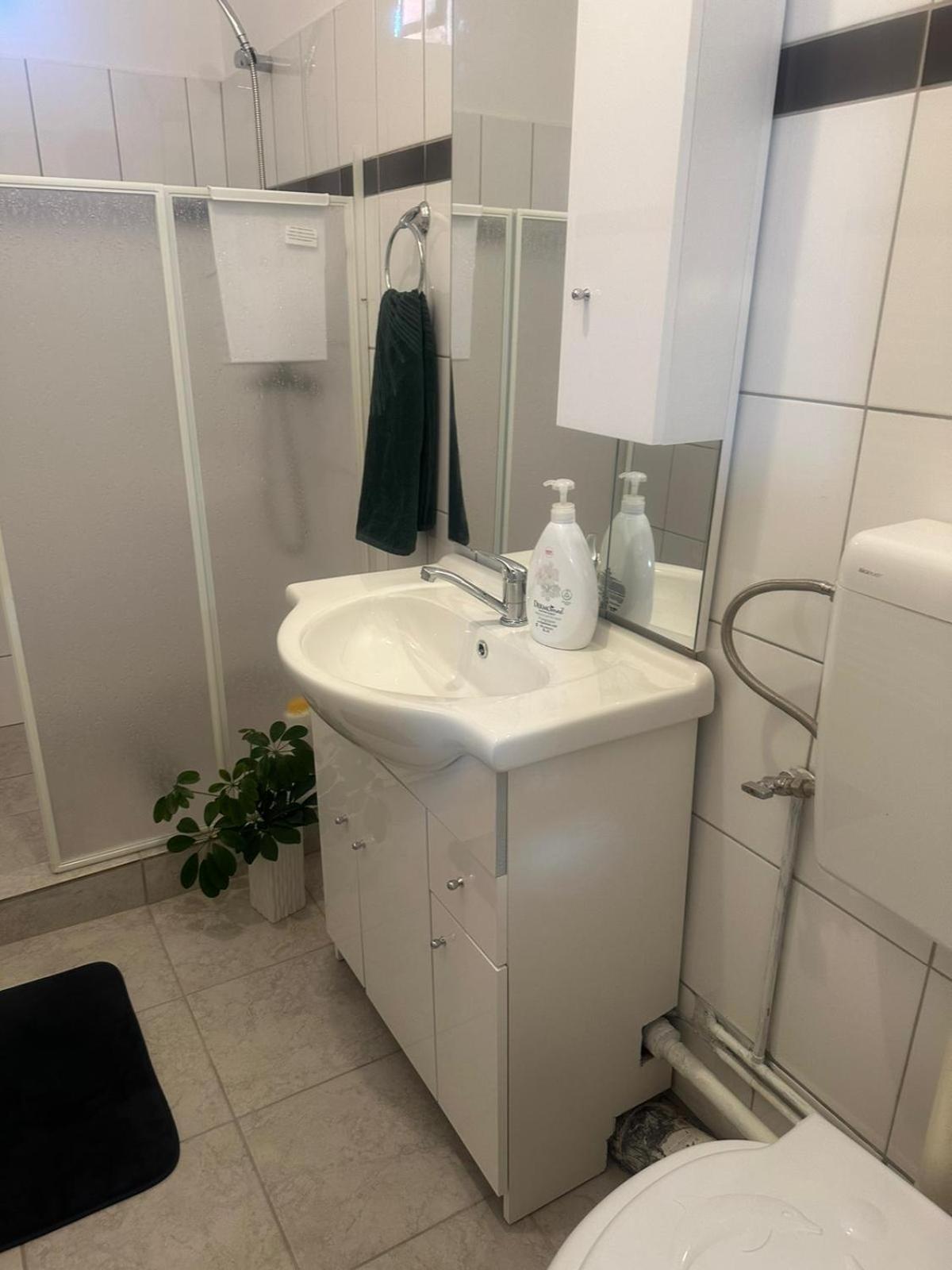 Appartement Apartament La Ilie à Ocna Sibiului Extérieur photo