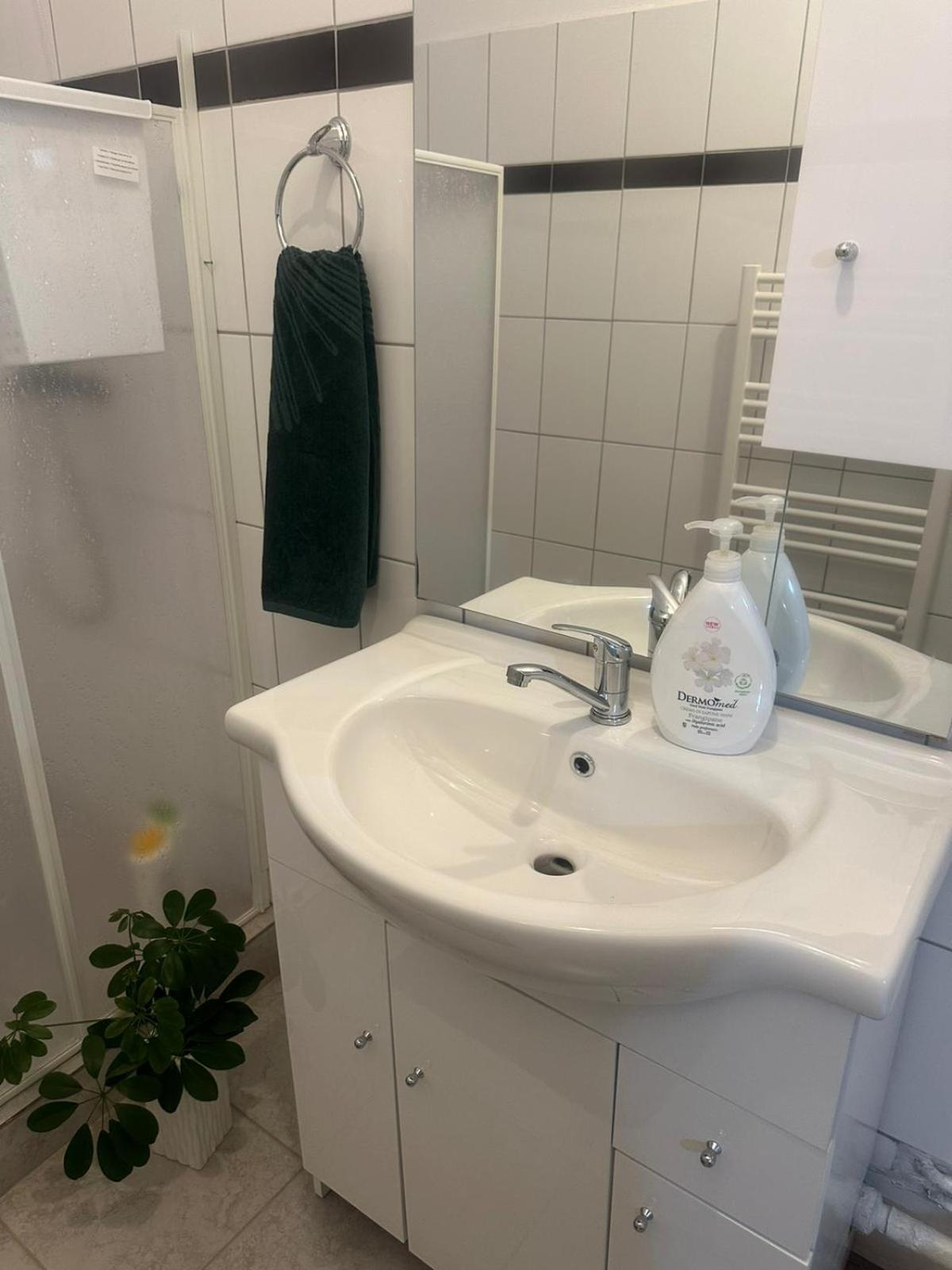 Appartement Apartament La Ilie à Ocna Sibiului Extérieur photo