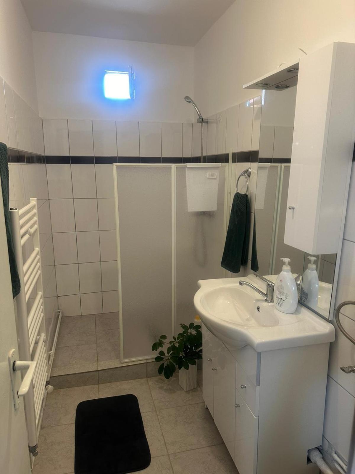 Appartement Apartament La Ilie à Ocna Sibiului Extérieur photo