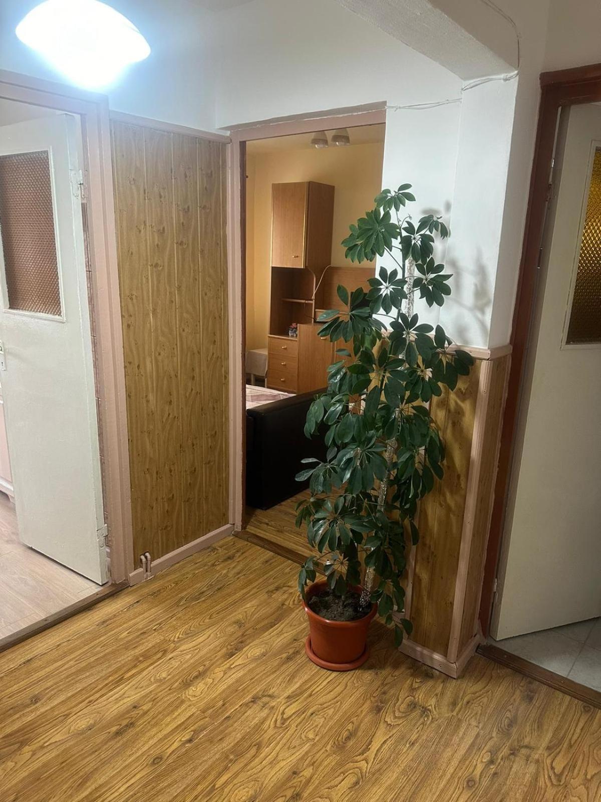 Appartement Apartament La Ilie à Ocna Sibiului Extérieur photo